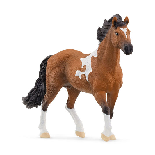 Mangalarga Marchador Stallion - 11.7cm