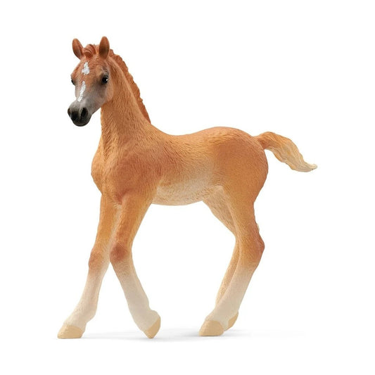 Arab Foal - 8cm