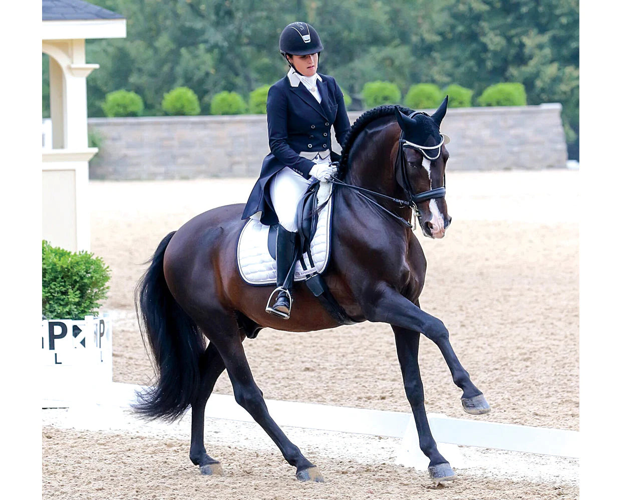 Breyer Dominante XXIX PRE Stallion Horse