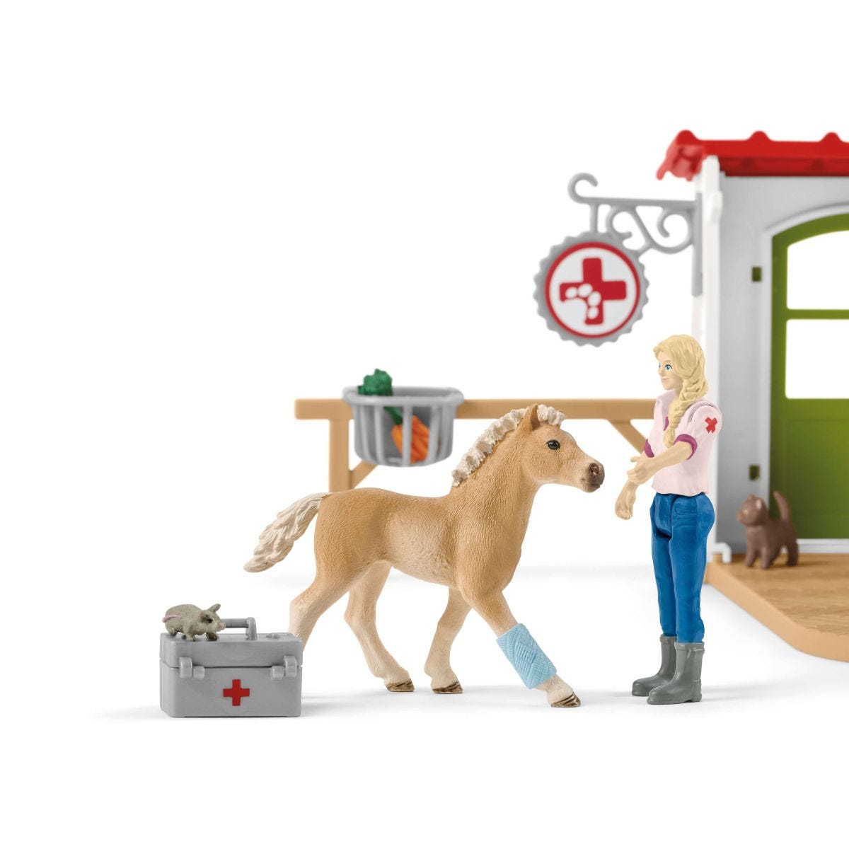 Veterinary Practice with Pets