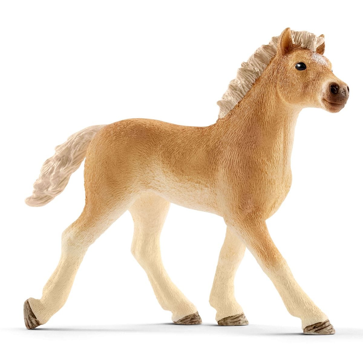 Veterinary Practice with Pets