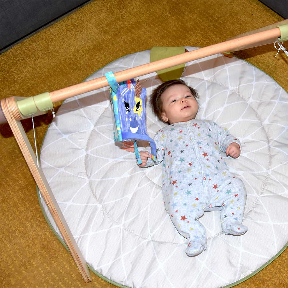 Discovery Activity Soft Book Kiprokos the Zebra