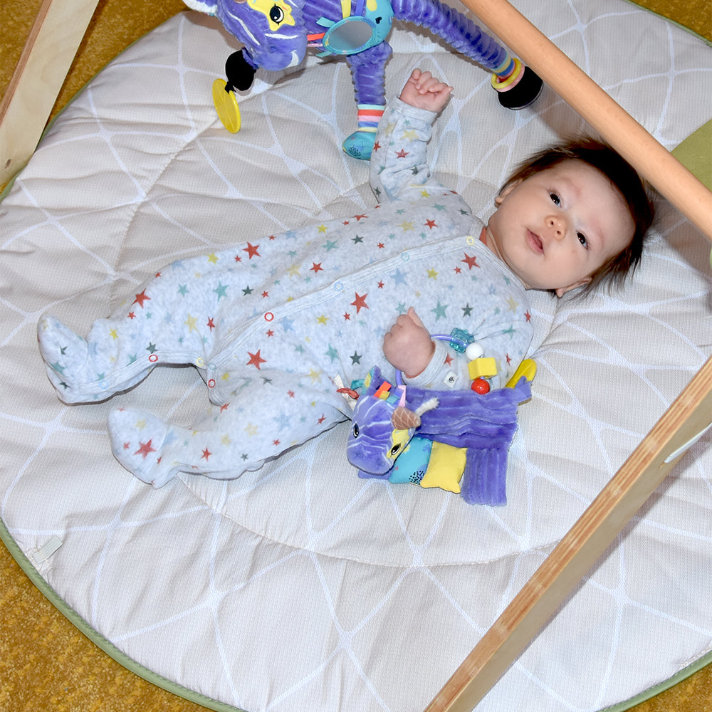 Activity Rattle and Teether Kiprokos the Zebra