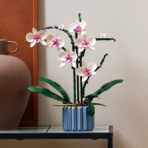 Botanicals Orchid