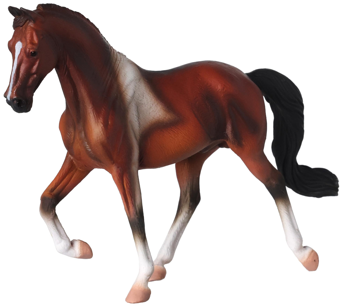 Tennessee Walking Horse Stallion Bay Pinto