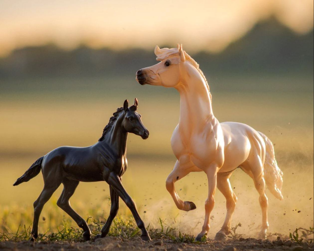 Cloud's Encore and Tor