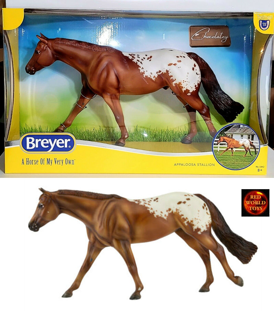 Chocolatey Appaloosa Horse Stallion