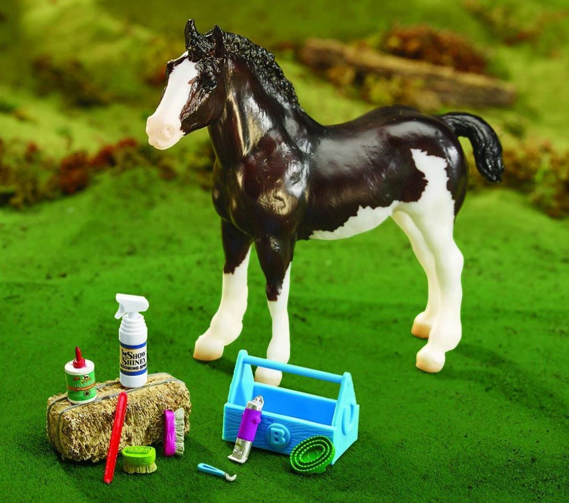Grooming Kit