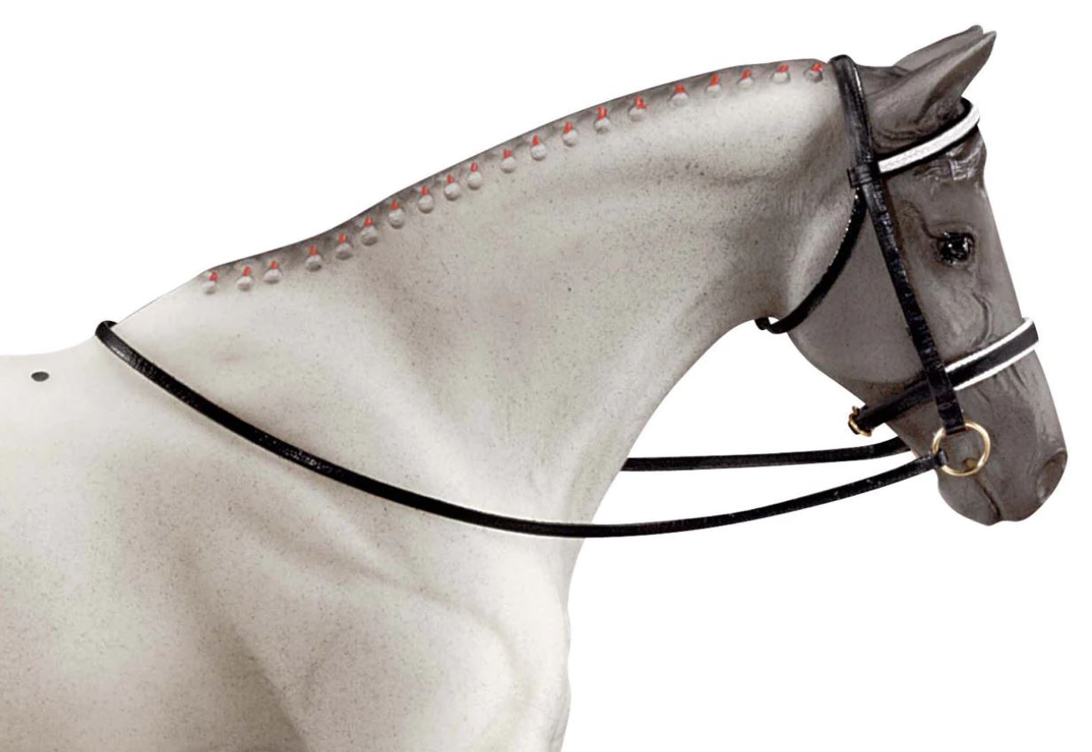 Dressage Bridle BL