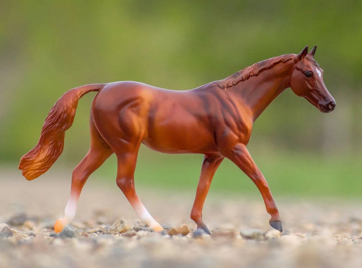 Coppery Chestnut Thoroughbred