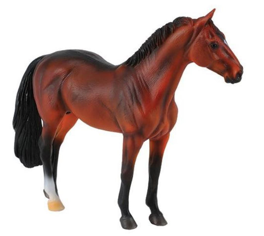 Bay Hanoverian Stallion