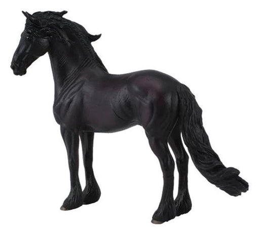 Friesian Stallion