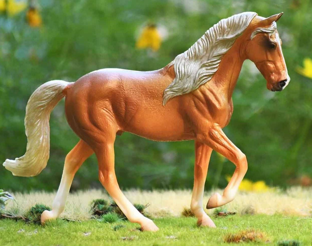 Golden Palomino Tennessee Walking
Horse Stallion