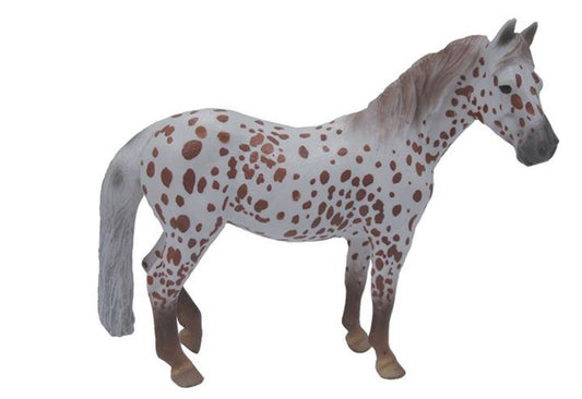 Chestnut Leopard British Spotted Pony
Mare