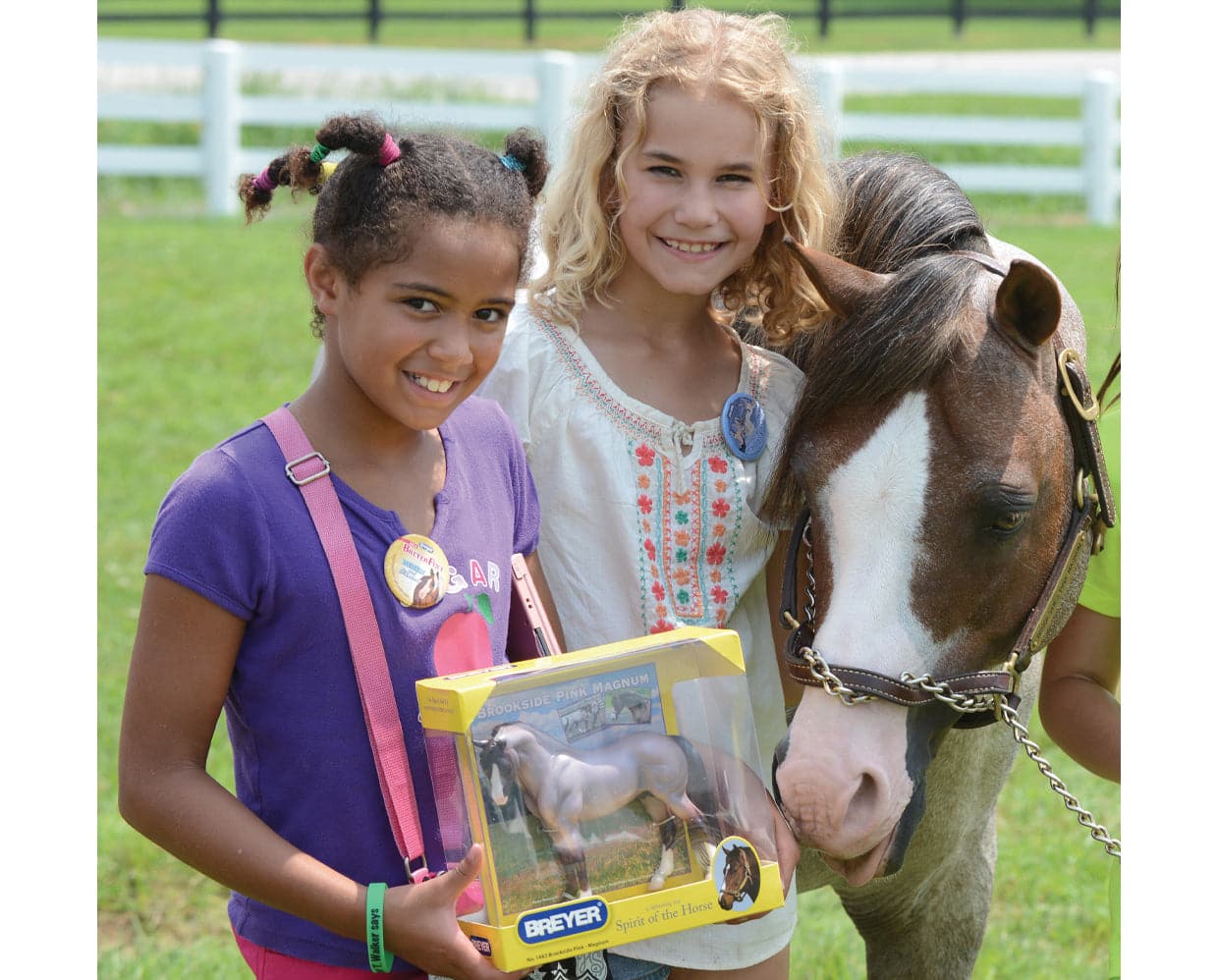 Breyer Brookside Pink Magnum