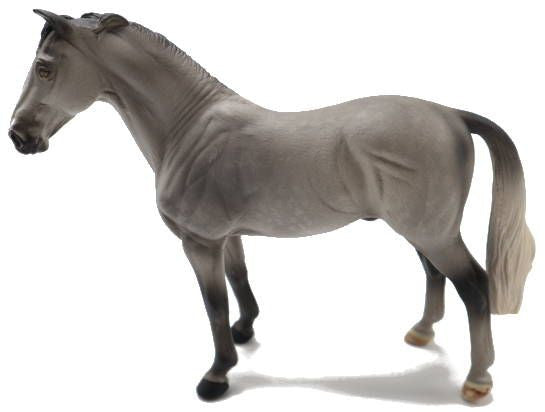 Hanoverian Stall Dapple Grey