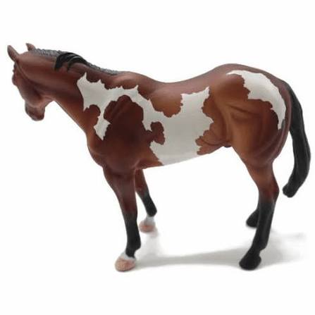Appaloosa Stallion Paint Horse Bay Overo