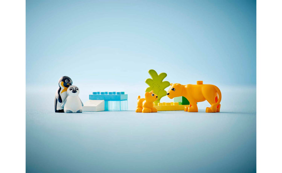 Wild Animal Families: Penguins And Lions