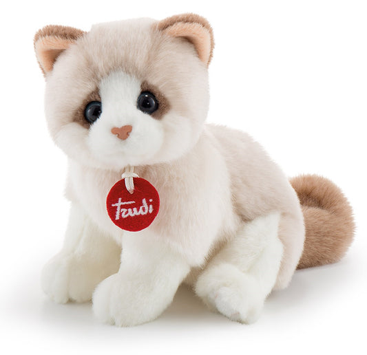 Classic Kitten Brad White & Beige - S 24cm
