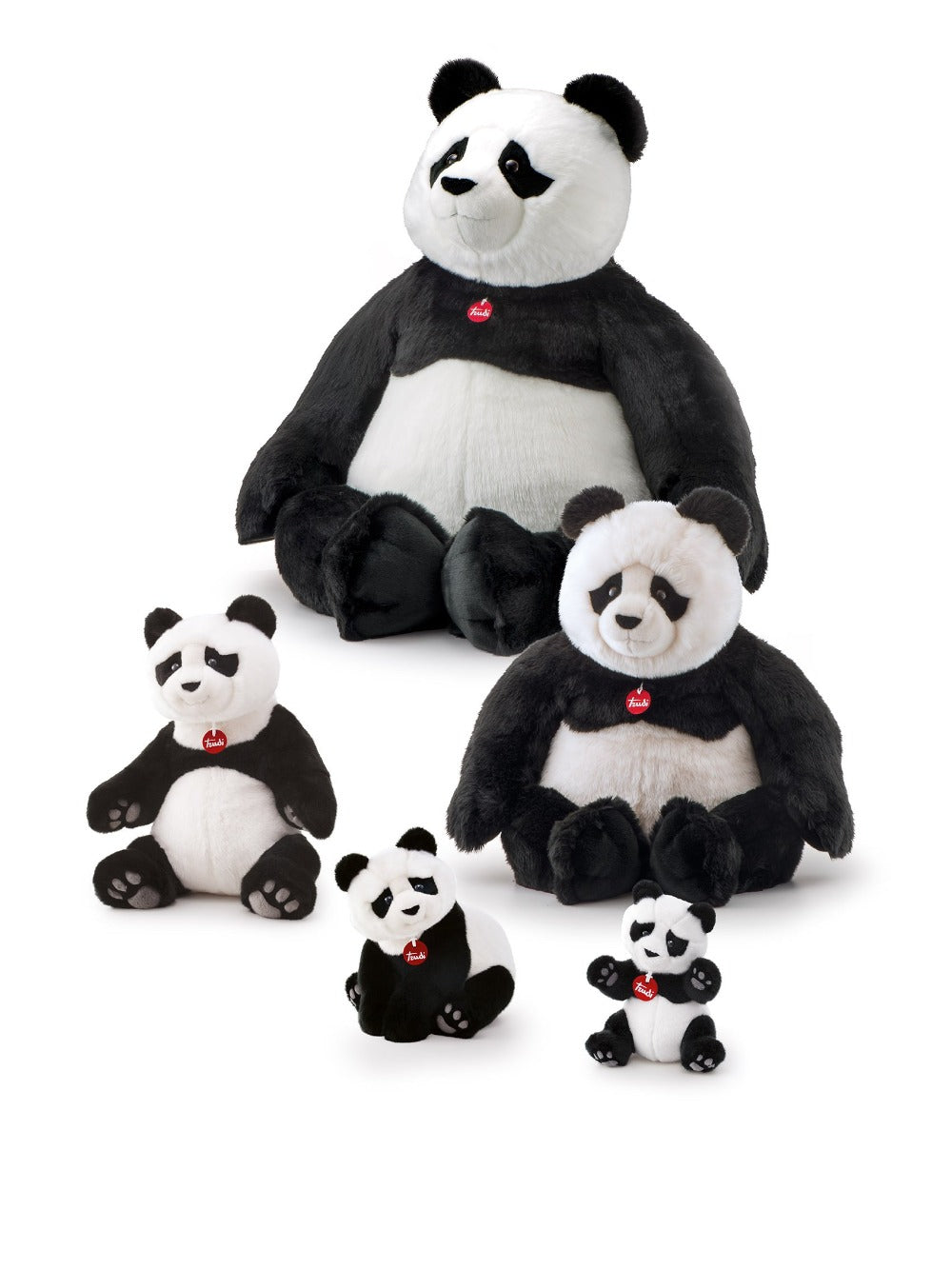 Classic Bear Panda Kevin - S 21cm