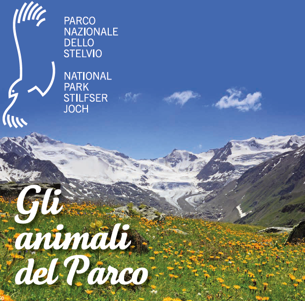 Trudino Deluxe Goat Antelope Chamois - 18cm