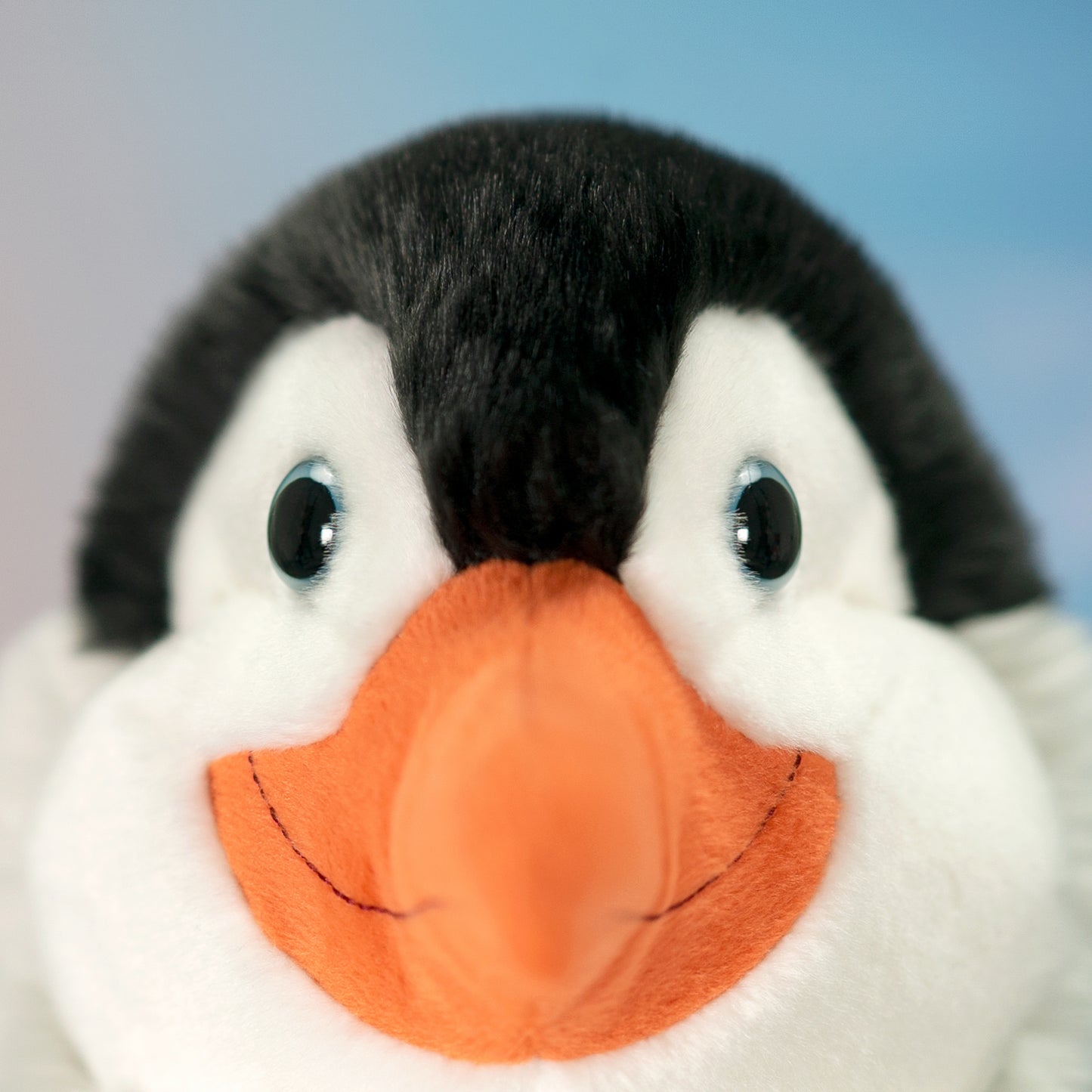 Classic Aqua Penguin Pino XXL 58cm