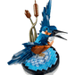 Kingfisher Bird
