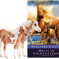 Breyer Misty and Storm Model & Book Set