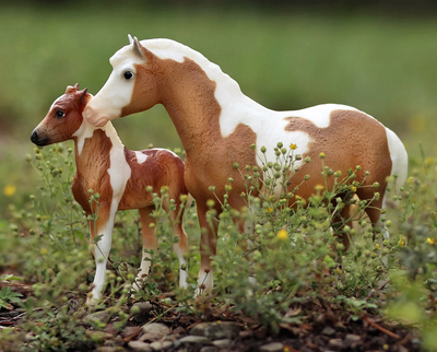 Breyer Misty and Storm Model & Book Set