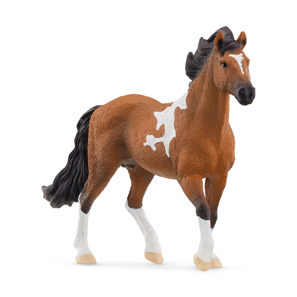 Mangalarga Marchador Stallion - 11.7cm
