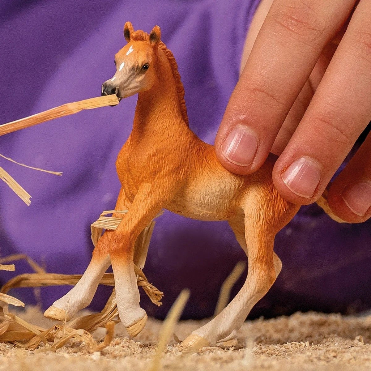 Arab Foal - 8cm