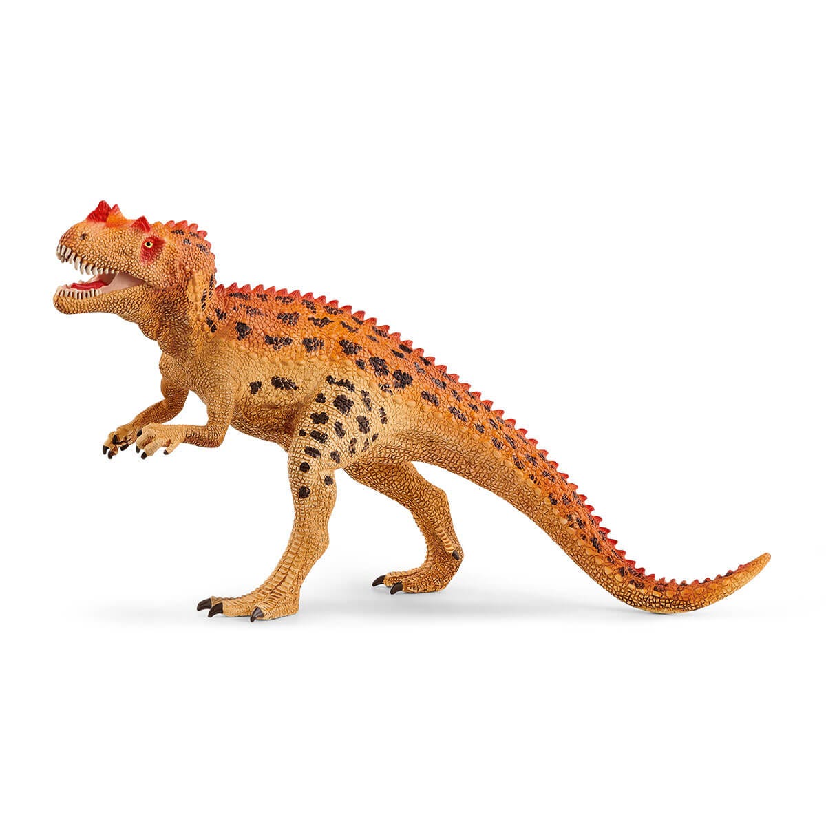 Ceratosaurus Dinosaur - 11cm