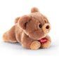 Classic Teddy Bear Teo 23cm