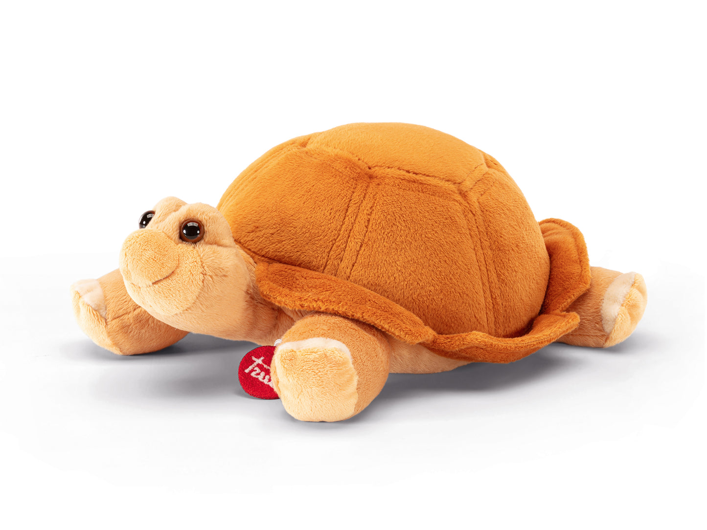 Classic Exotic Tortoise Nina