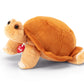 Classic Exotic Tortoise Nina