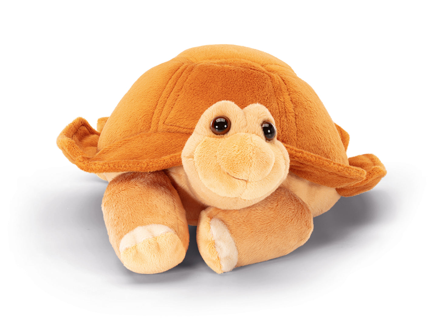Classic Exotic Tortoise Nina