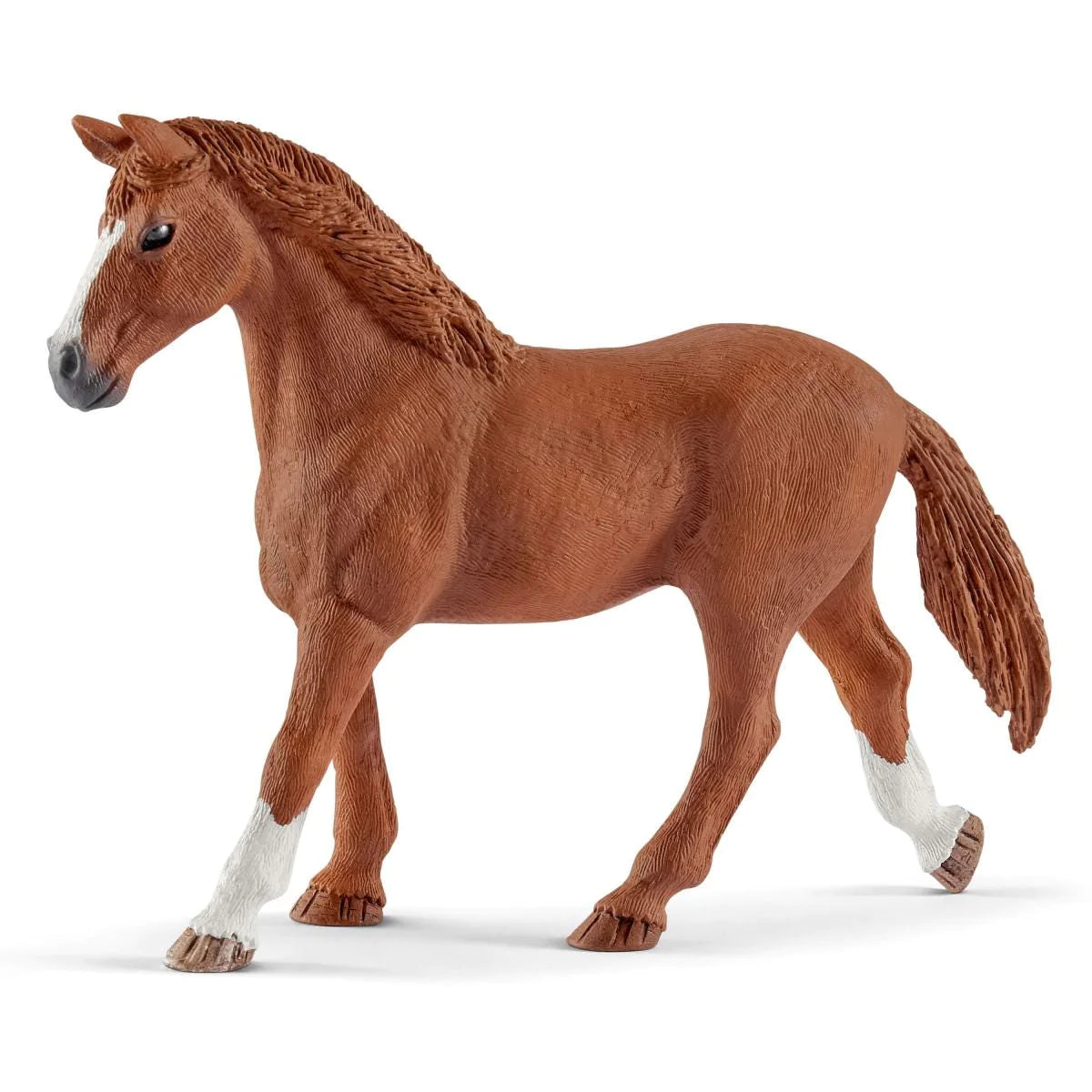 Hannah's guest horses with Ruby the dog