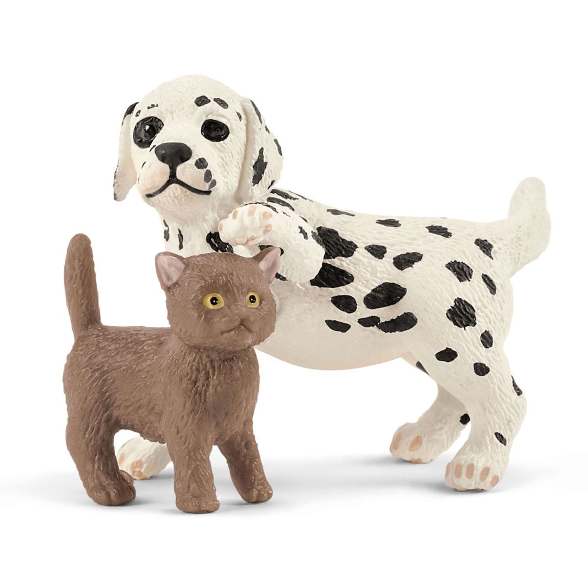 Veterinary Practice with Pets