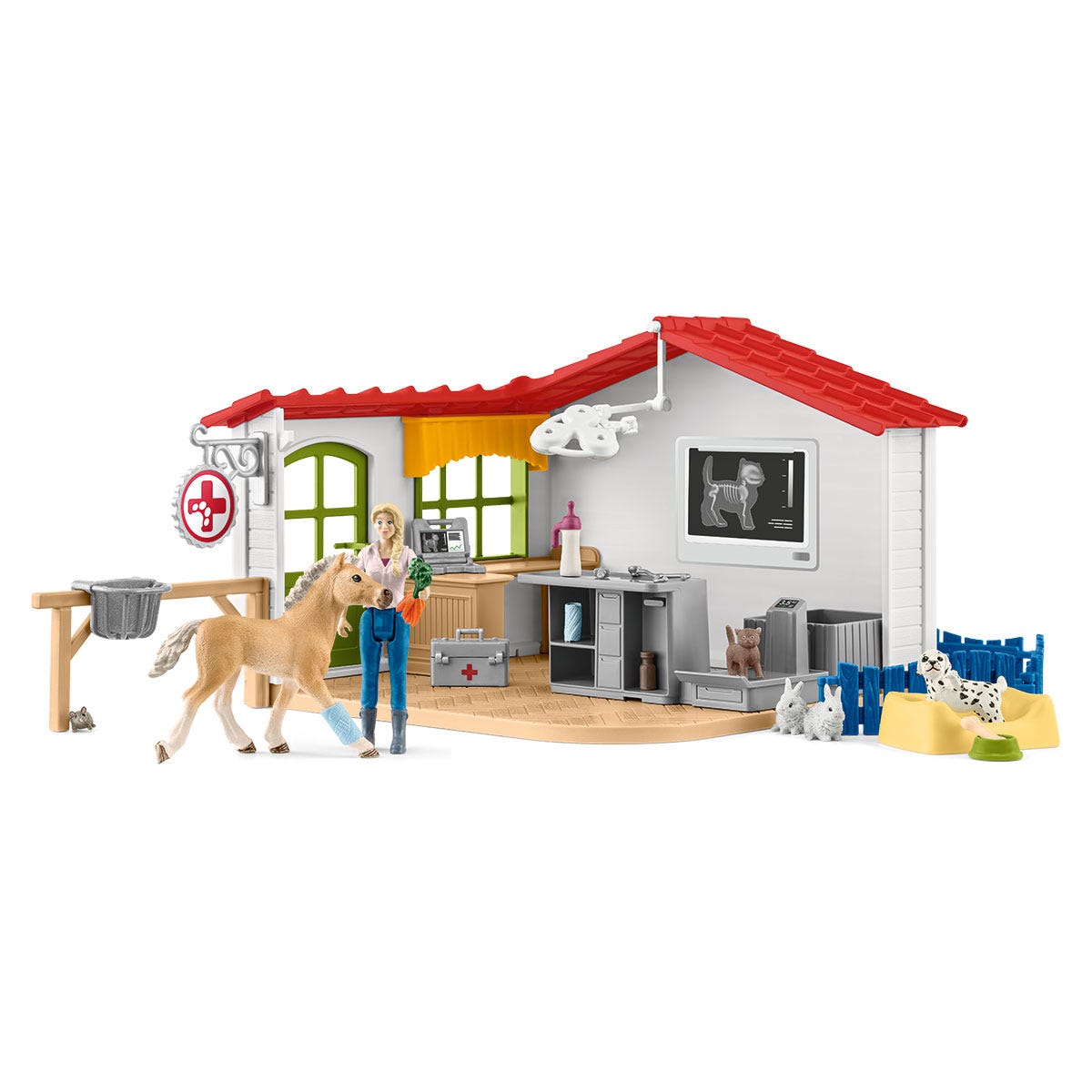 Veterinary Practice with Pets
