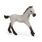 Horse Club Playful Foal