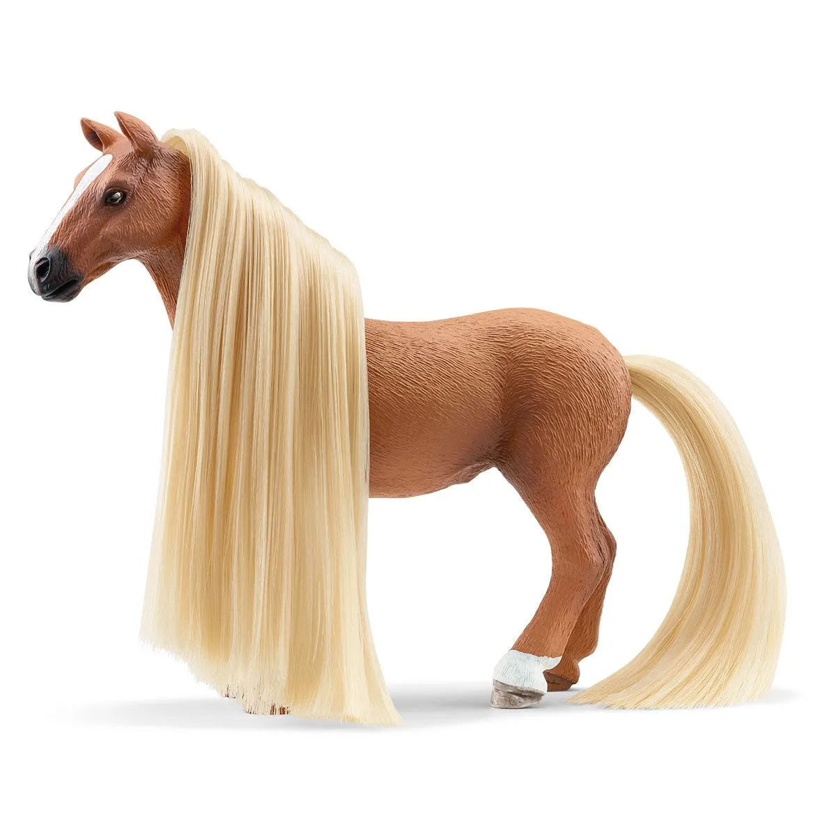 Starter Set Kim & Caramelo - 24cm