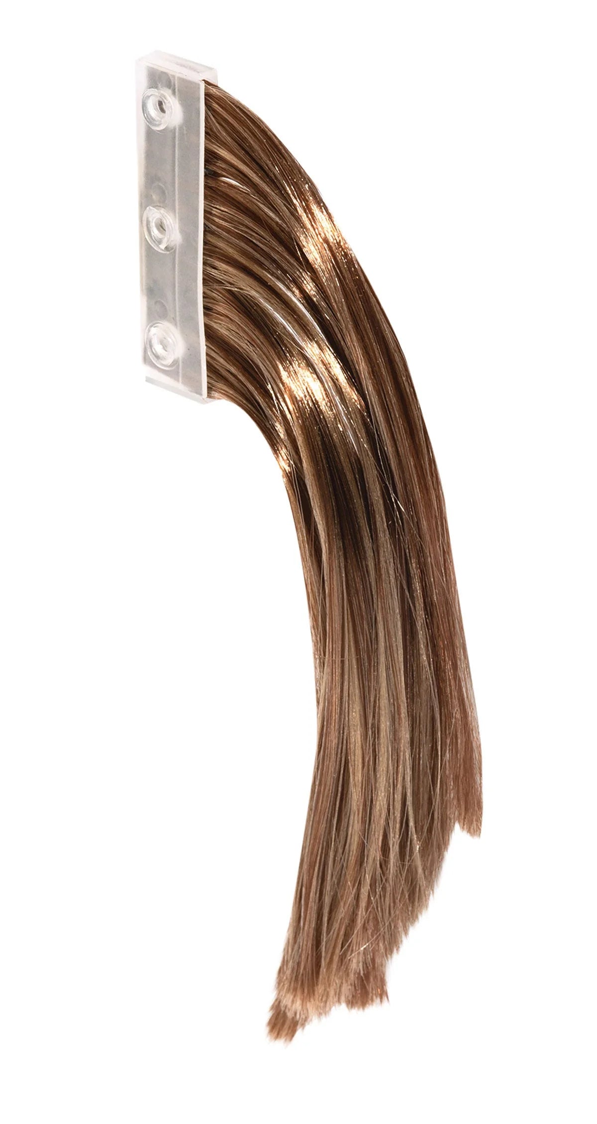 Sofia's Beauties Horse Beauty Salon