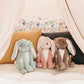 The Bunny Rabbit - Le Lapin 24cm (Asst. Colours Available)