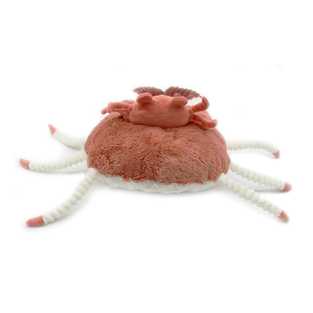 The Crab Mom & Baby - Cassecou 46cm (Asst. Colours Available)