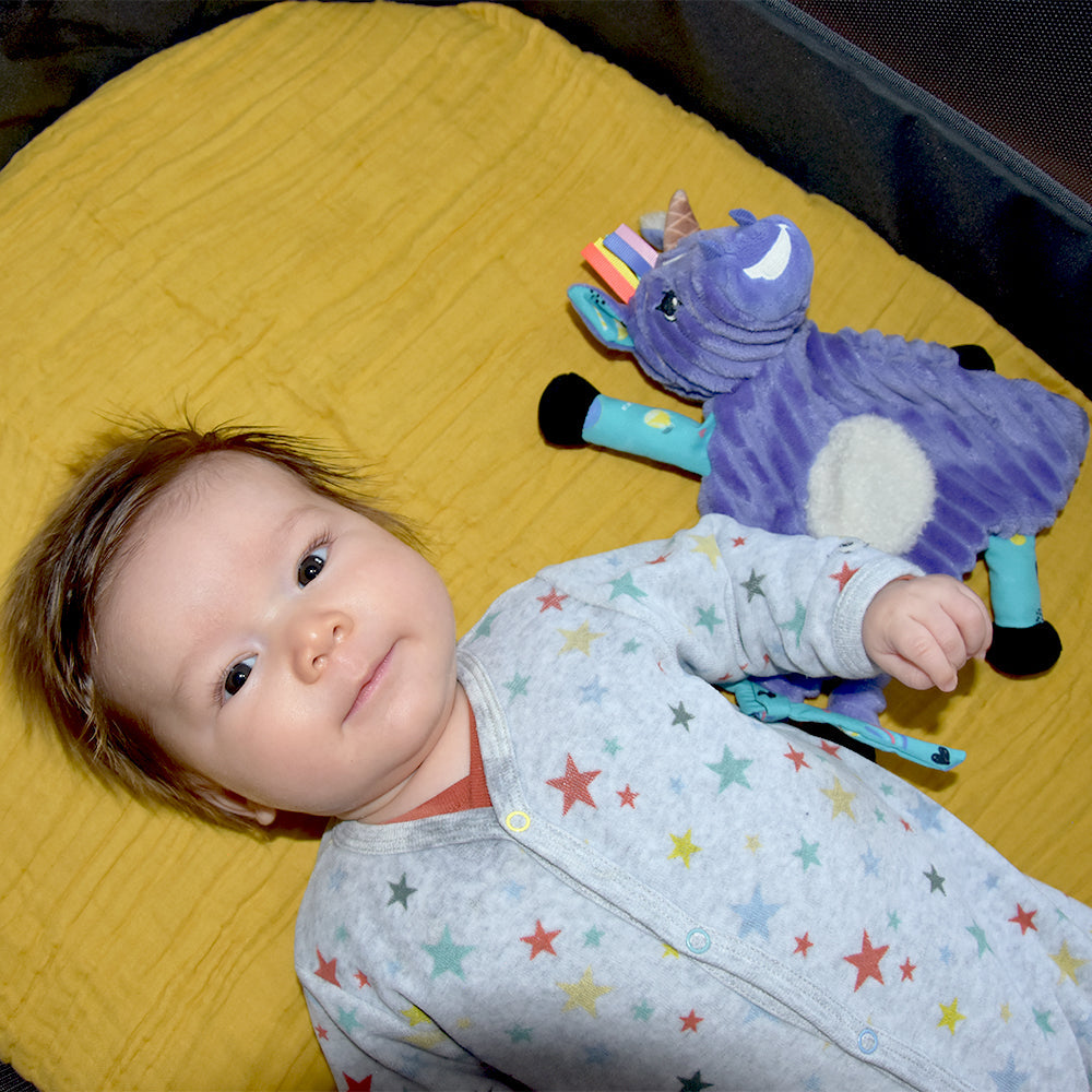 Kiprokos the Zebra Baby Comforter & Silicone Teething Ring Gift Set