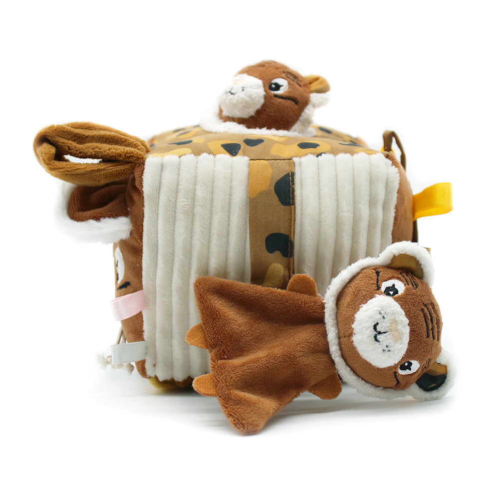 Discovery Activity Cube Speculos the Tiger