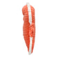 The Seahorse Dad and Baby - L’hippocampe 34cm (Asst. Colours Available)