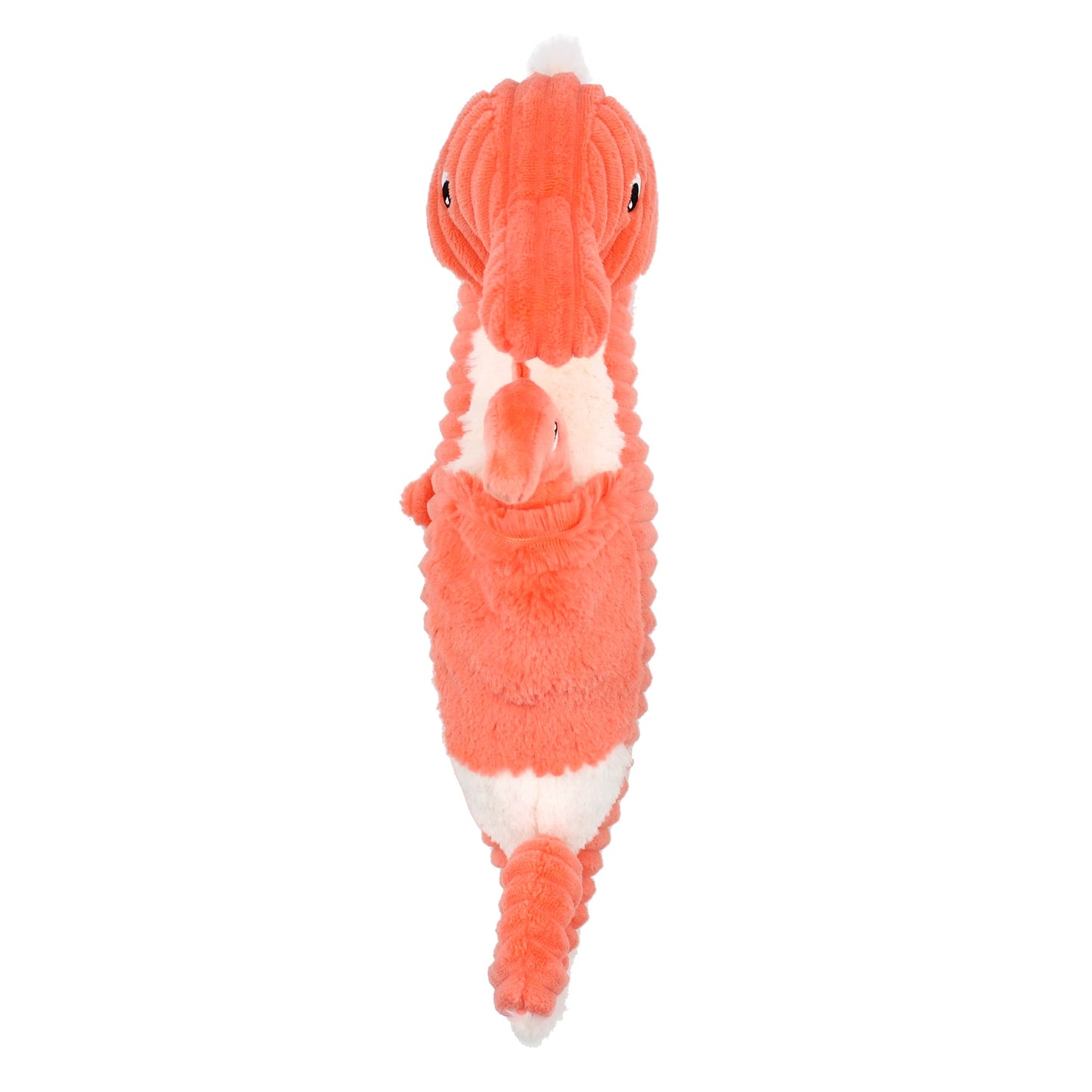 The Seahorse Dad and Baby - L’hippocampe 34cm (Asst. Colours Available)