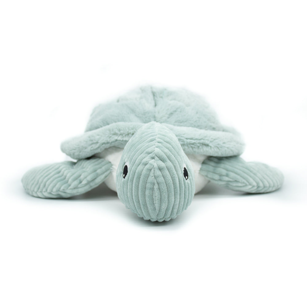 The Giant Turtle - La Tortue 50cm (Asst. Colours Available)