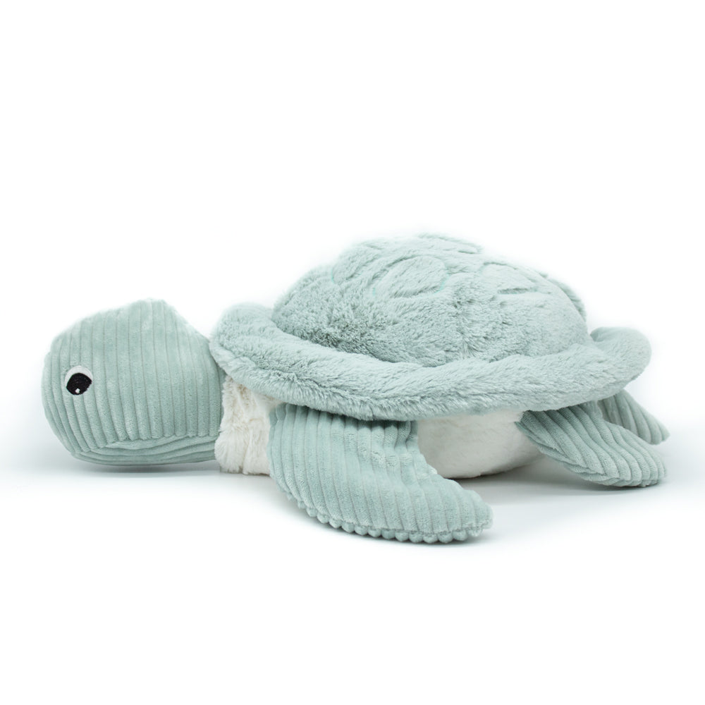 The Giant Turtle - La Tortue 50cm (Asst. Colours Available)